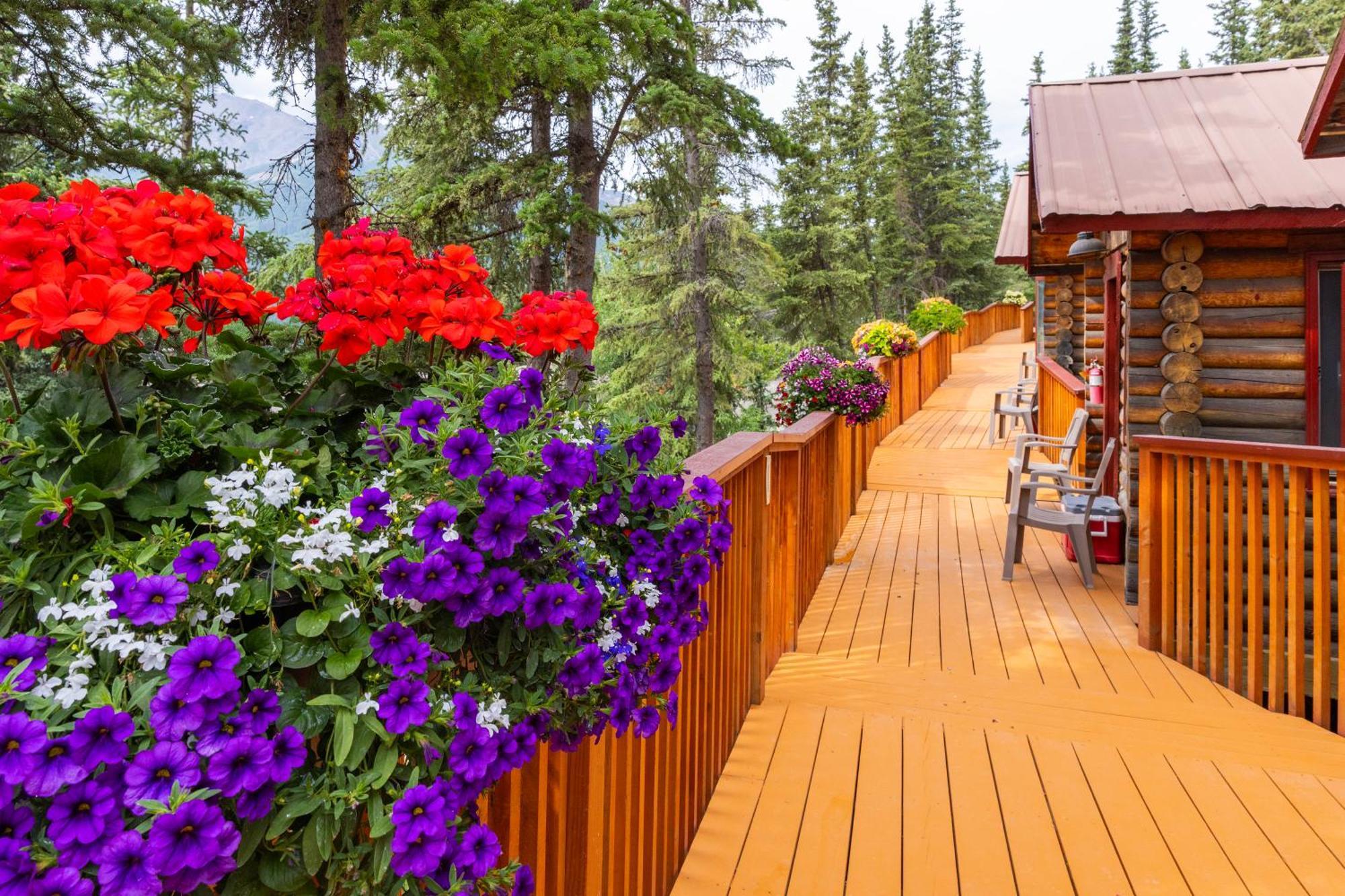 Denali Crow'S Nest Cabins Denali Park Eksteriør bilde