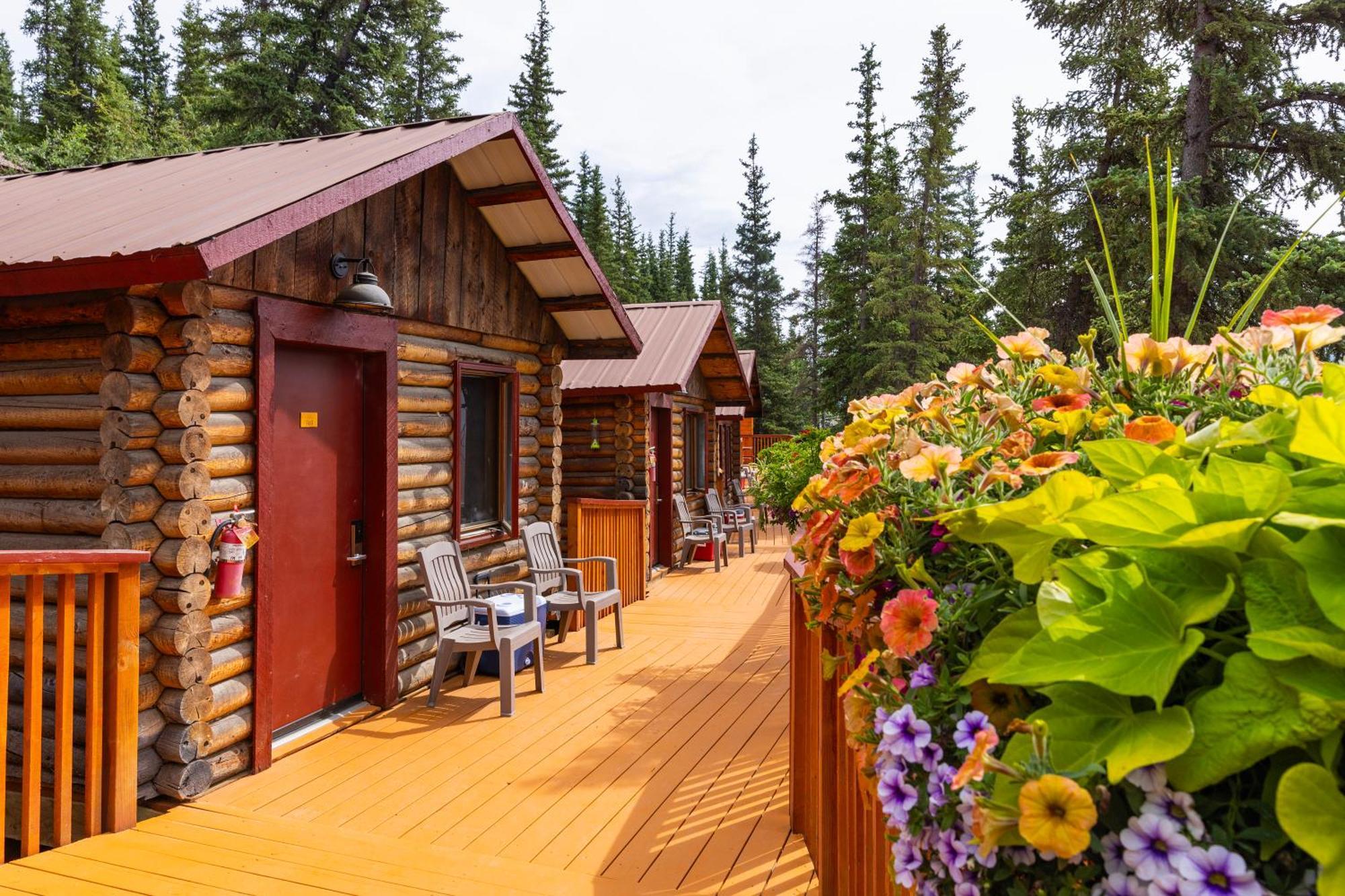 Denali Crow'S Nest Cabins Denali Park Eksteriør bilde