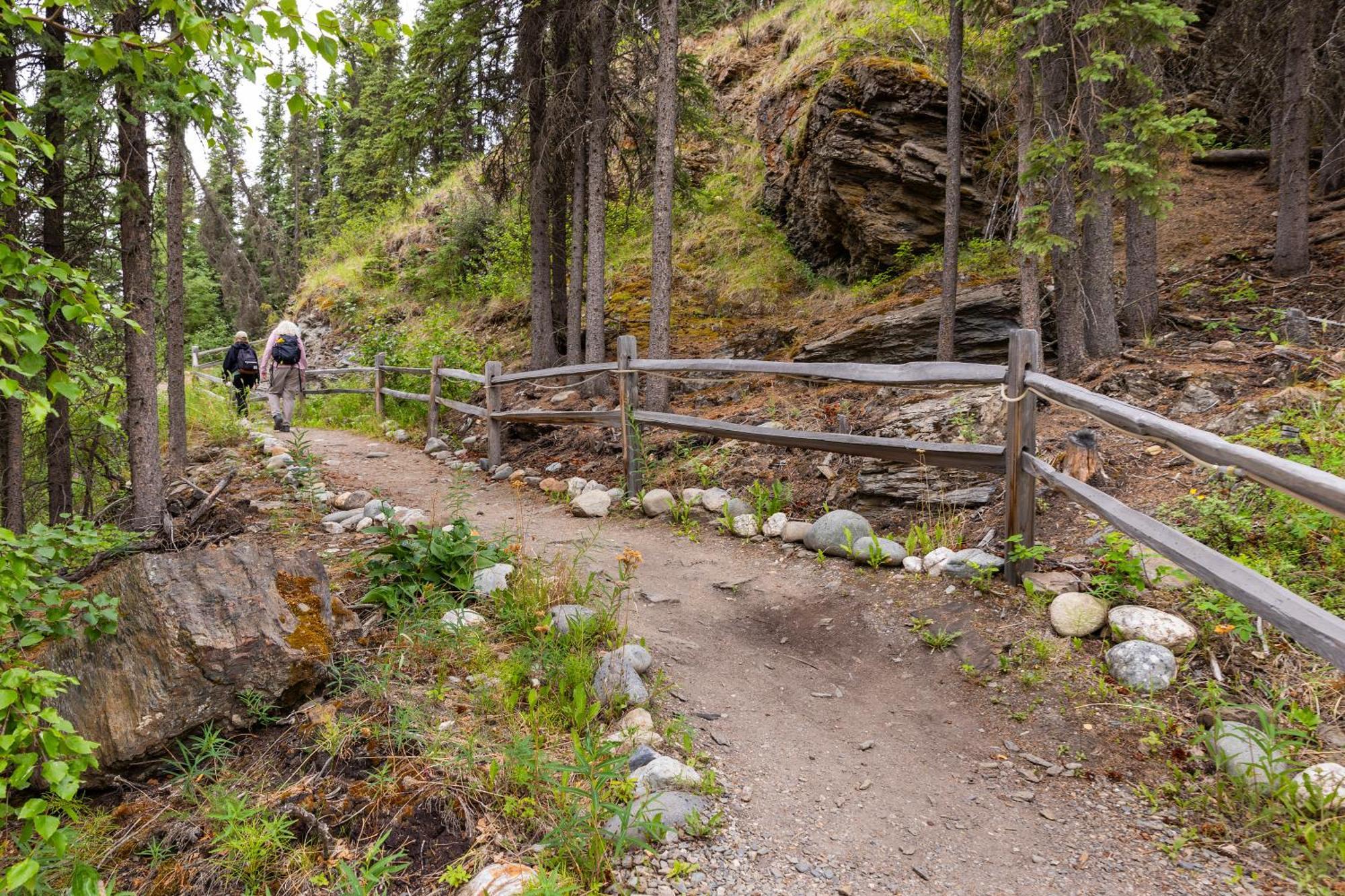 Denali Crow'S Nest Cabins Denali Park Eksteriør bilde