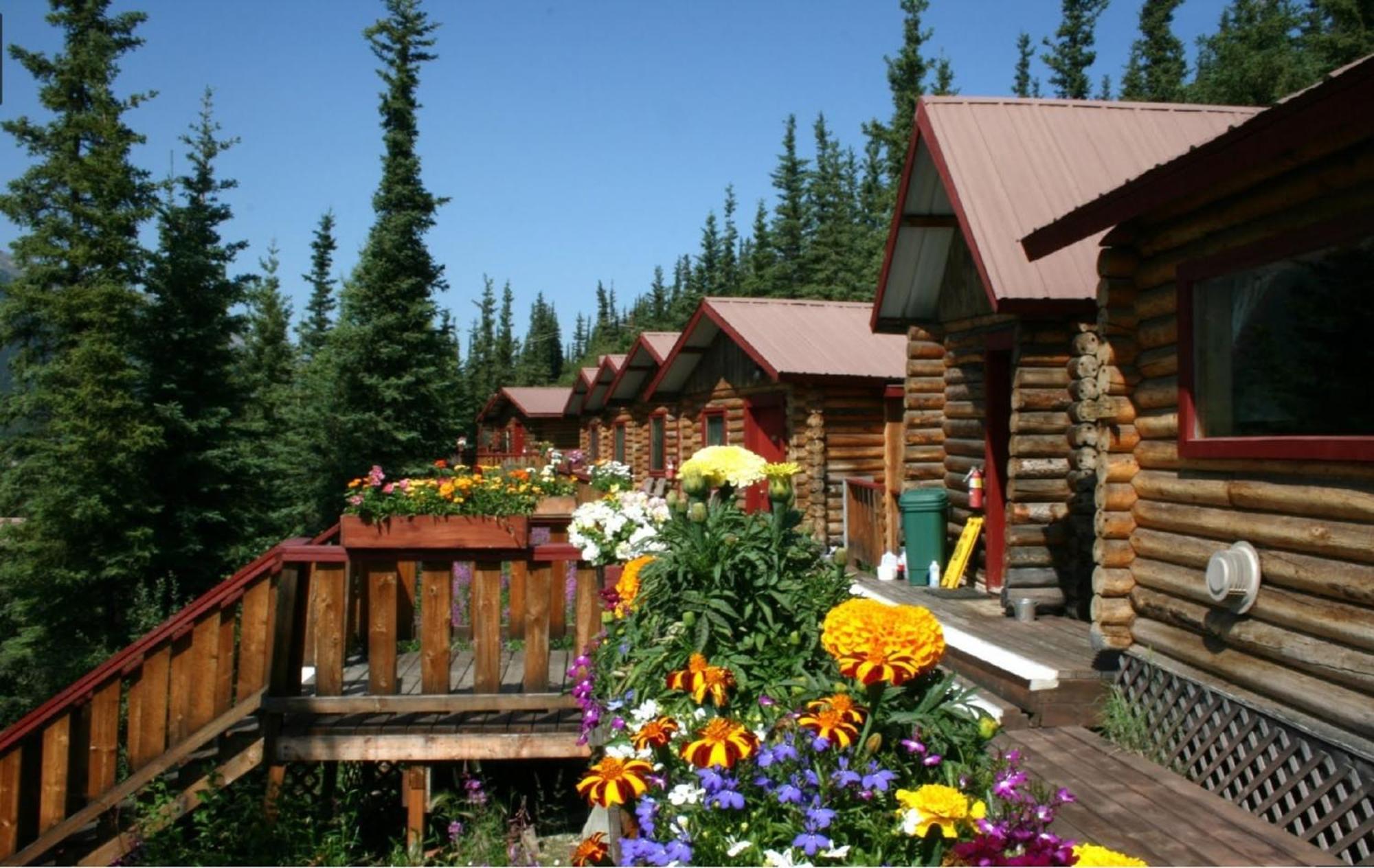 Denali Crow'S Nest Cabins Denali Park Eksteriør bilde